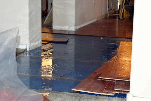 Professional Water Damage Restoration technician working in Bosler, WY